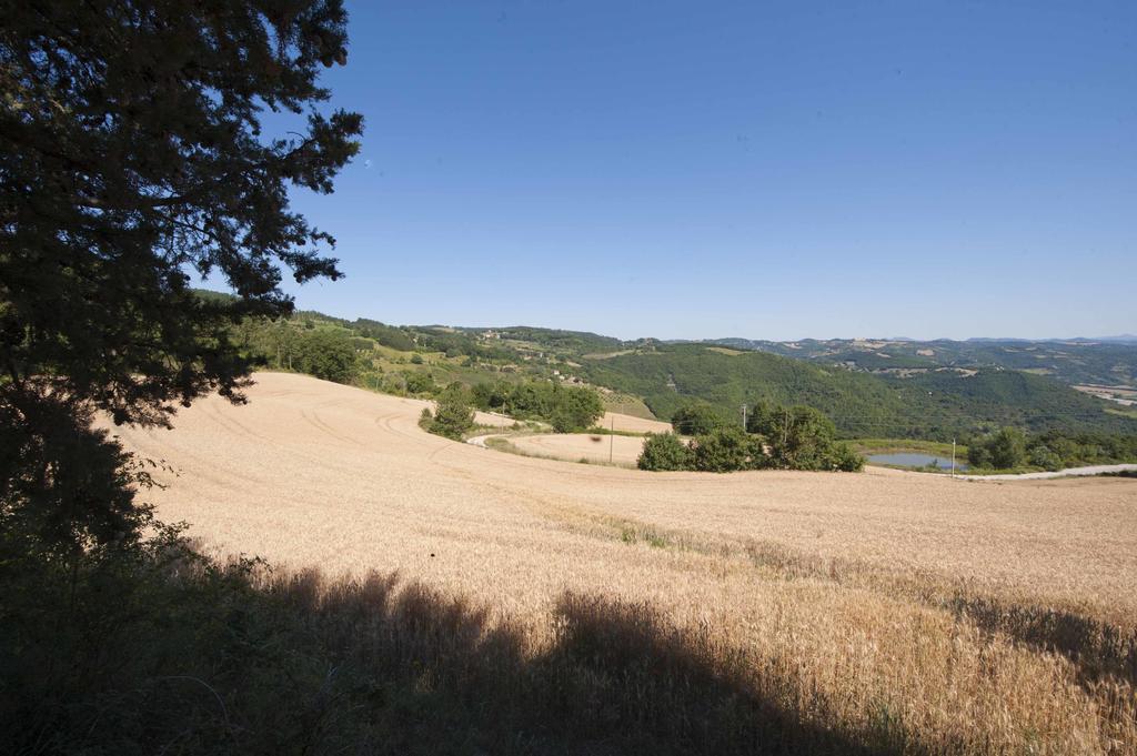 Agriturismo Tenuta Di Biscina Екстериор снимка