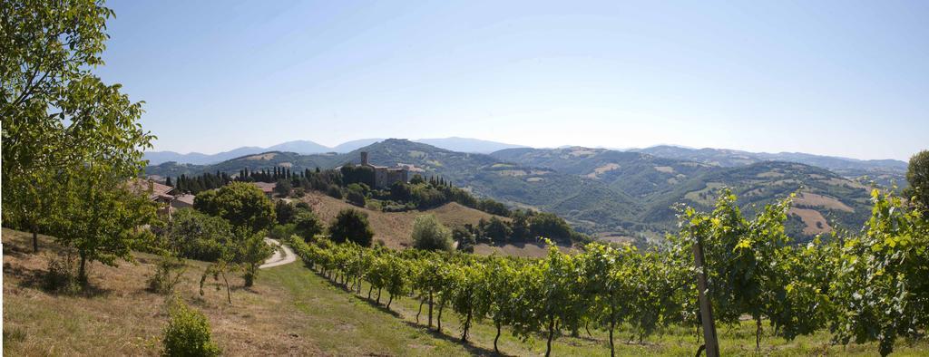 Agriturismo Tenuta Di Biscina Екстериор снимка