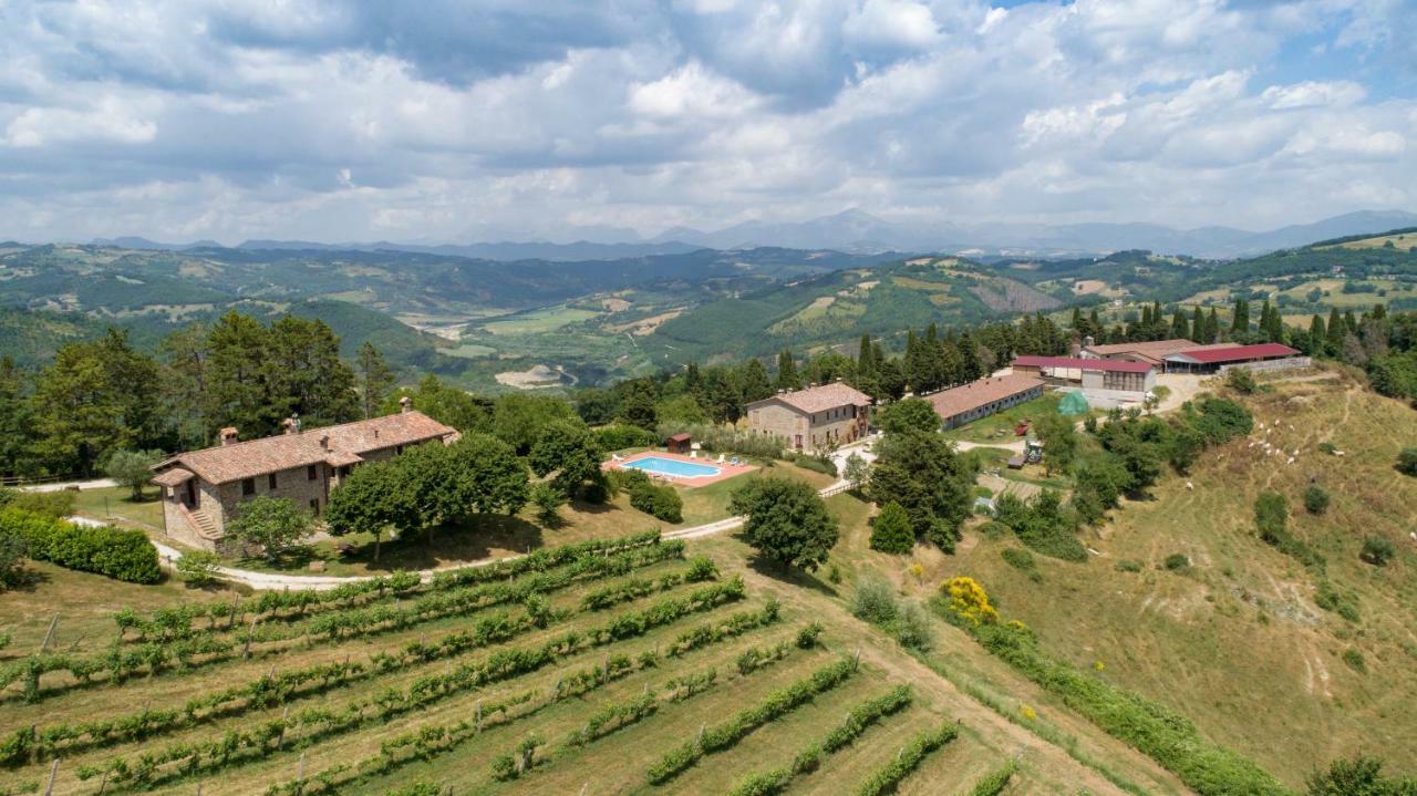 Agriturismo Tenuta Di Biscina Екстериор снимка